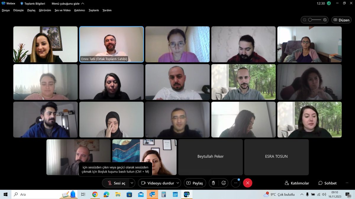 PROJECT MANAGEMENT PROFESSIONAL (PMP)